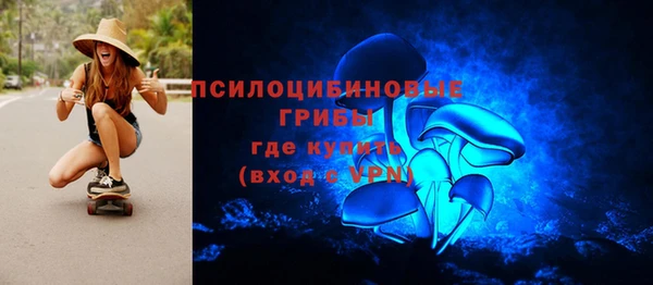 не бодяженный Гусь-Хрустальный