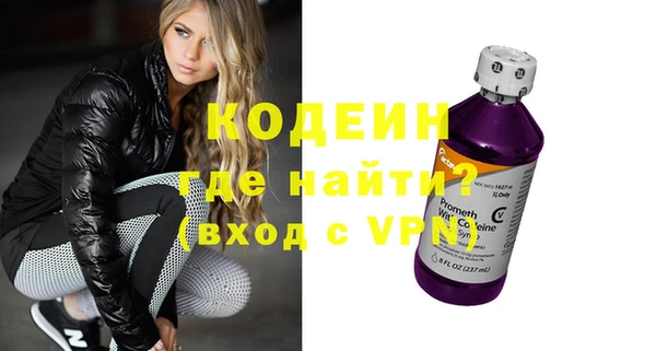 амф Ельня