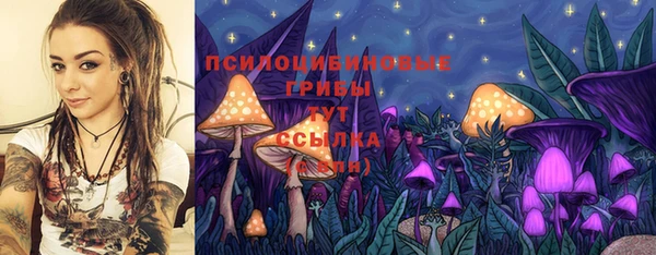а пвп мука Елабуга