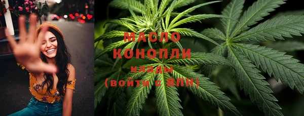 амф Ельня
