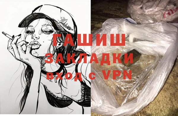 амф Ельня